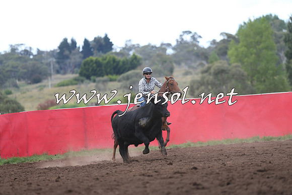 NimmitabelCampdraft2015_1517