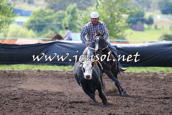 NimmitabelCampdraft2015_1116