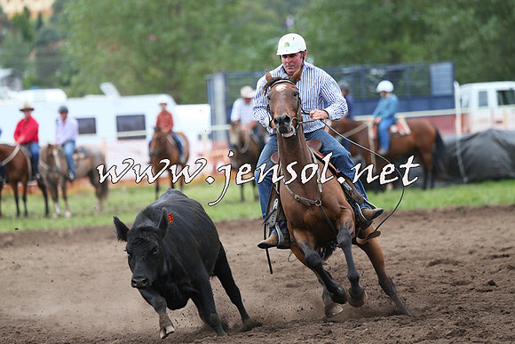 NimmitabelCampdraft2015_1699