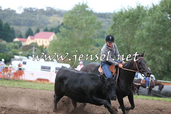 NimmitabelCampdraft2015_1566