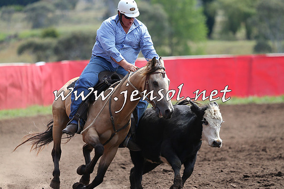 NimmitabelCampdraft2015_1202
