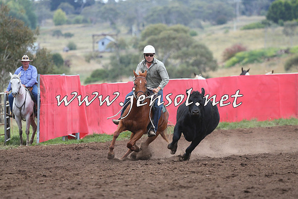 NimmitabelCampdraft2015_1662