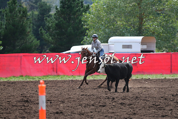 NimmitabelCampdraft2015_1189