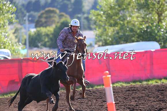 NimmitabelCampdraft2015_1095