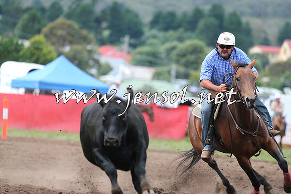 NimmitabelCampdraft2015_1591