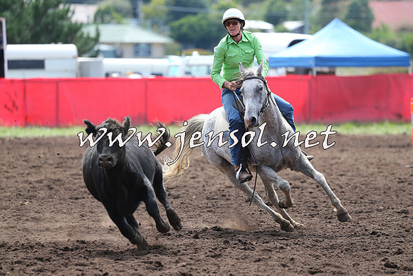 NimmitabelCampdraft2015_1162
