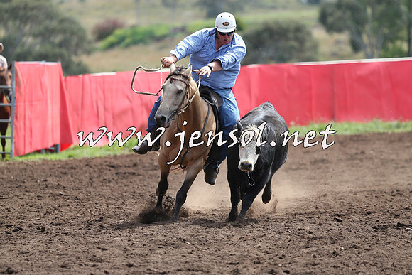 NimmitabelCampdraft2015_1206