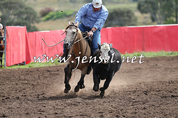 NimmitabelCampdraft2015_1205