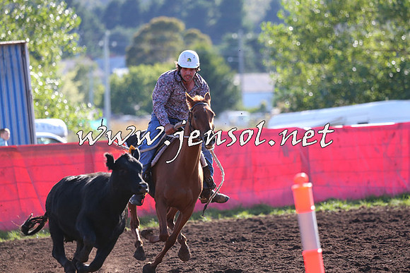 NimmitabelCampdraft2015_1096