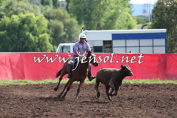 NimmitabelCampdraft2015_1100