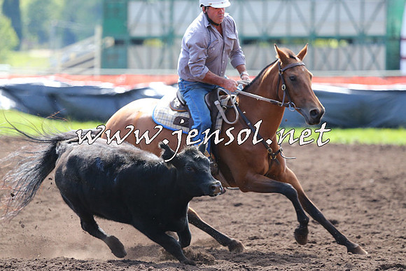 NimmitabelCampdraft2015_1110