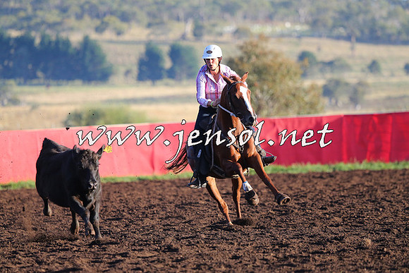 NimmitabelCampdraft2015_1026
