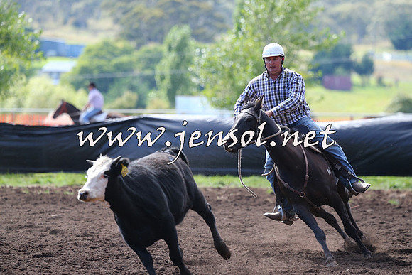 NimmitabelCampdraft2015_1114