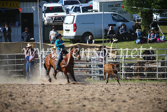 BungendoreRodeo2016-4015