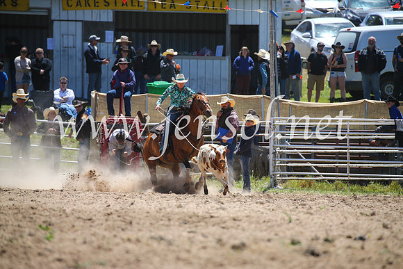 BungendoreRodeo2016-1597
