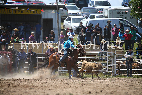 BungendoreRodeo2016-2269