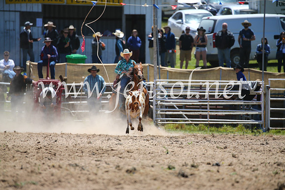 BungendoreRodeo2016-1601