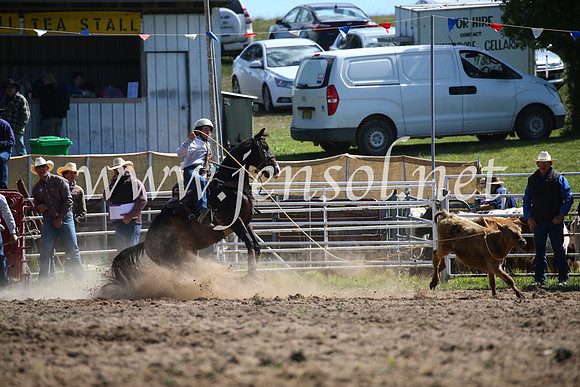 BungendoreRodeo2016-310