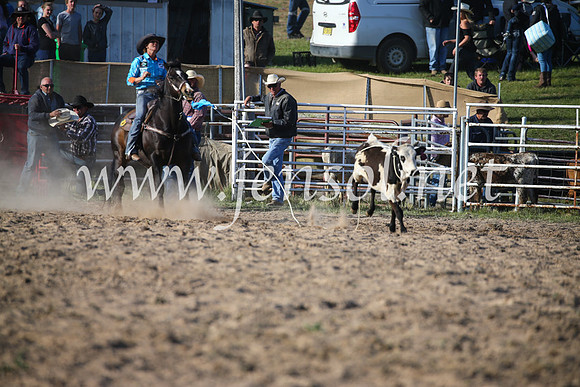 BungendoreRodeo2016-5260