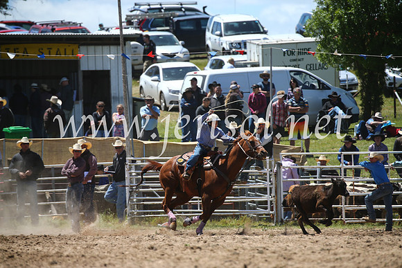 BungendoreRodeo2016-2310