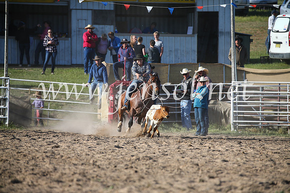 BungendoreRodeo2016-5221