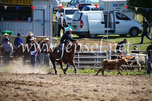 BungendoreRodeo2016-86