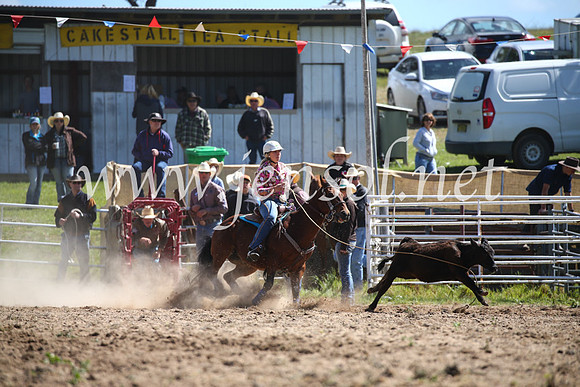 BungendoreRodeo2016-325