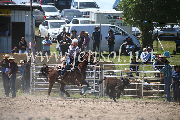BungendoreRodeo2016-2296