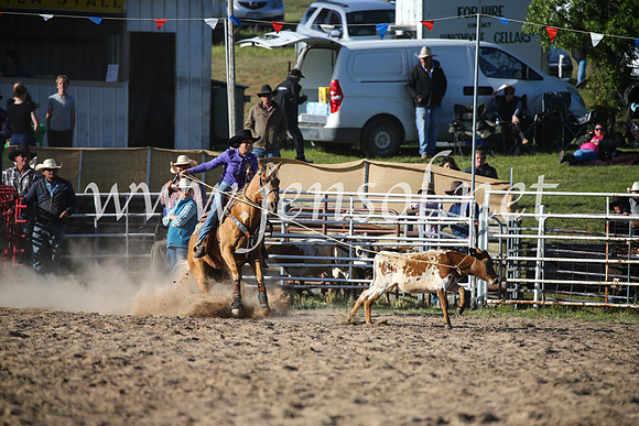 BungendoreRodeo2016-5197