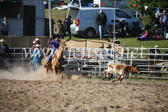 BungendoreRodeo2016-5200