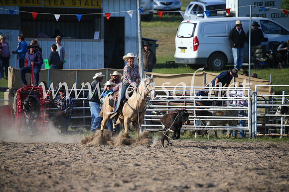 BungendoreRodeo2016-5240