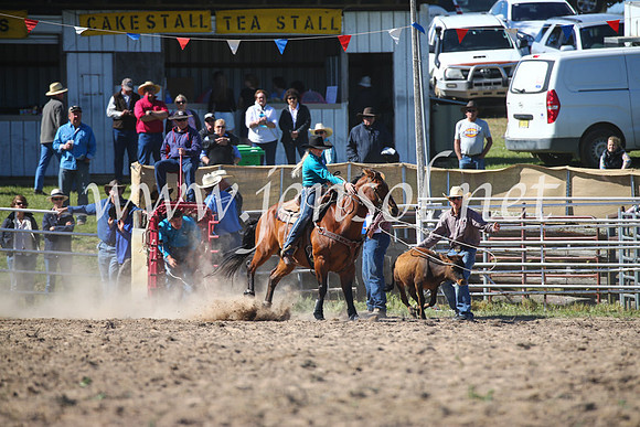 BungendoreRodeo2016-4005