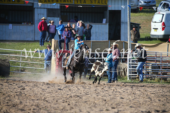 BungendoreRodeo2016-5248