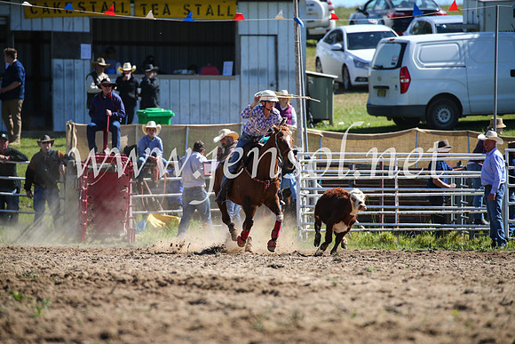 BungendoreRodeo2016-171