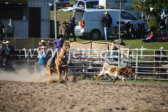 BungendoreRodeo2016-5196