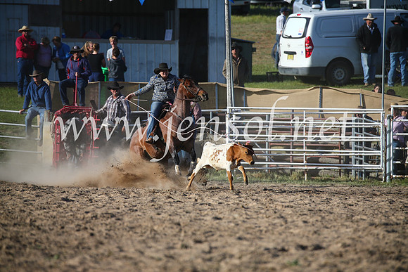 BungendoreRodeo2016-5222