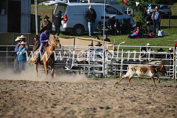 BungendoreRodeo2016-5203