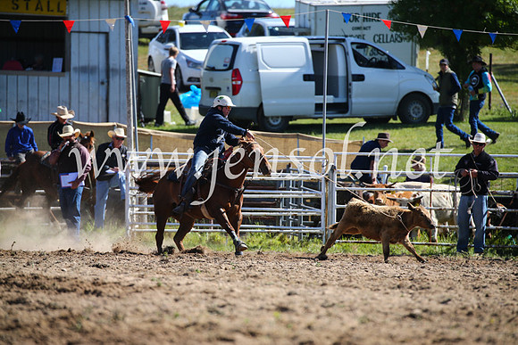 BungendoreRodeo2016-91