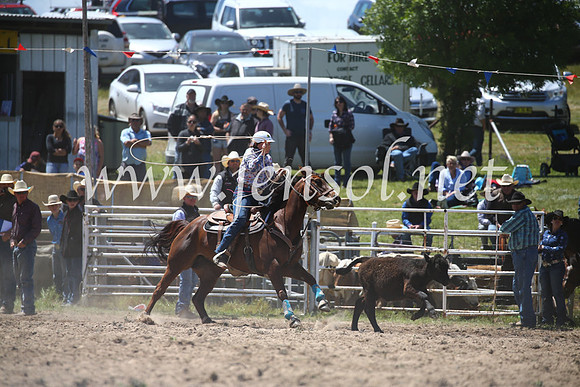 BungendoreRodeo2016-2290