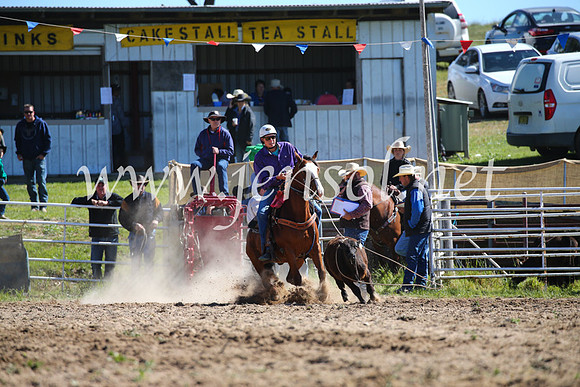 BungendoreRodeo2016-147