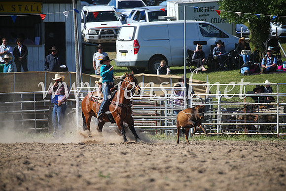 BungendoreRodeo2016-4016
