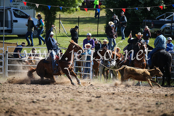 BungendoreRodeo2016-95