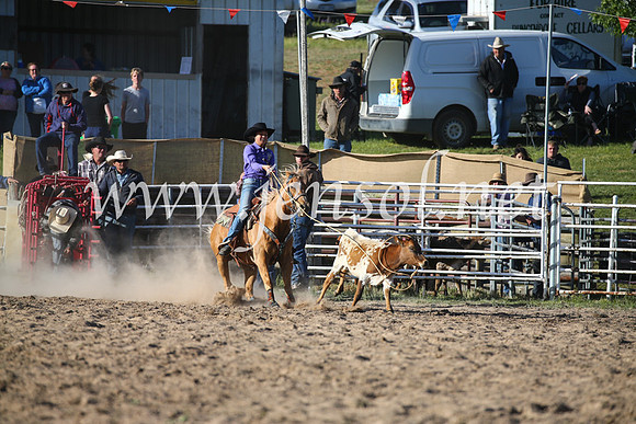 BungendoreRodeo2016-5198