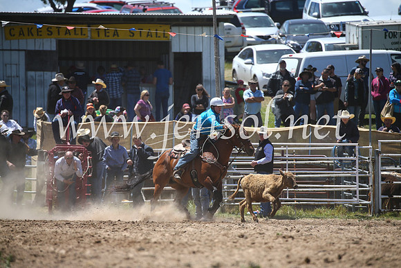 BungendoreRodeo2016-2268