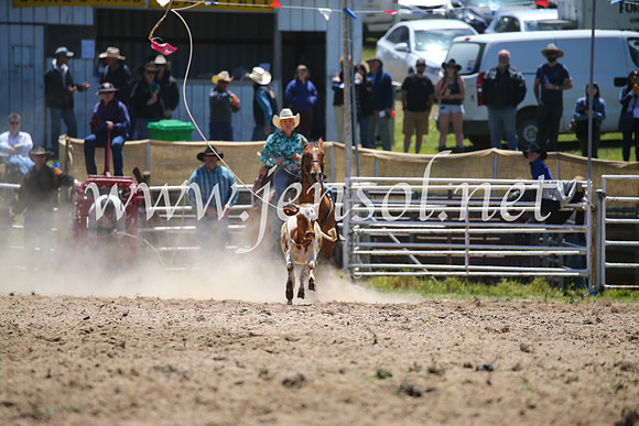 BungendoreRodeo2016-1602