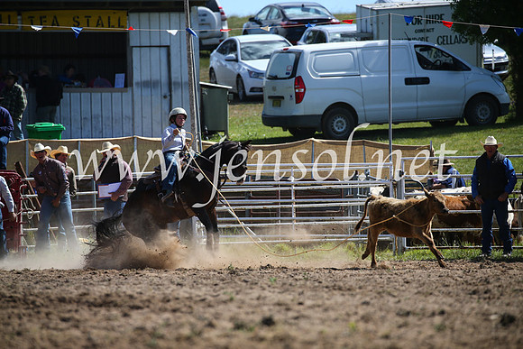 BungendoreRodeo2016-311