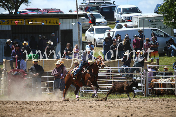 BungendoreRodeo2016-2314