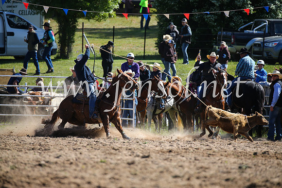 BungendoreRodeo2016-92