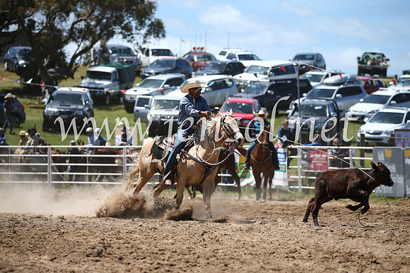 BungendoreRodeo2016-2339