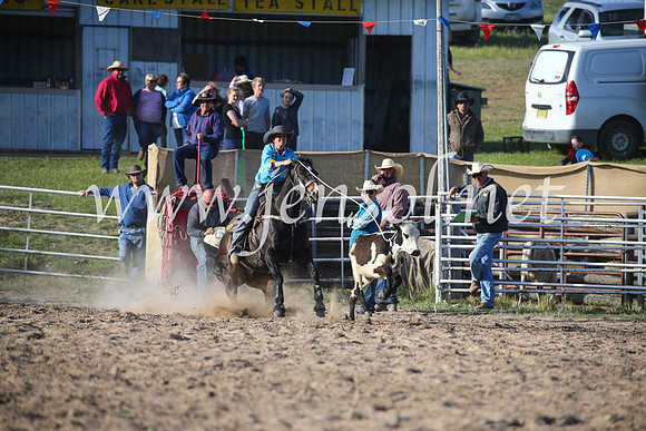 BungendoreRodeo2016-5251